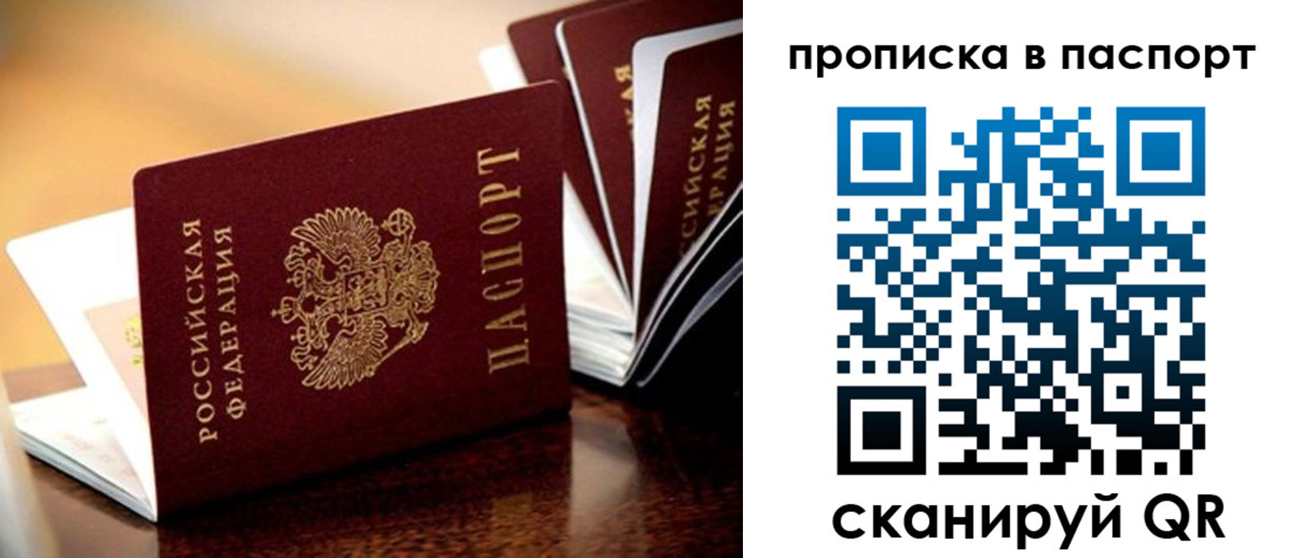 регистрация для школы в Судогде